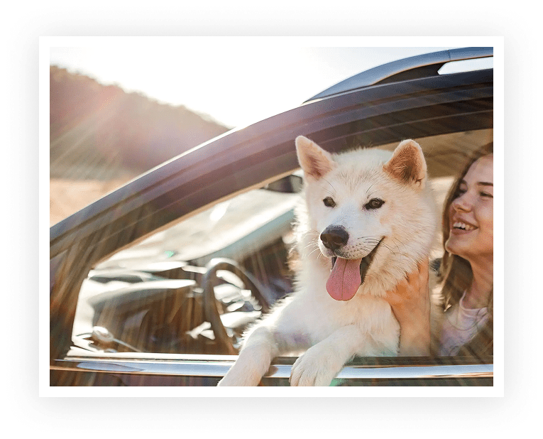 Woman happily driving with her dog sticking out of the car window.
