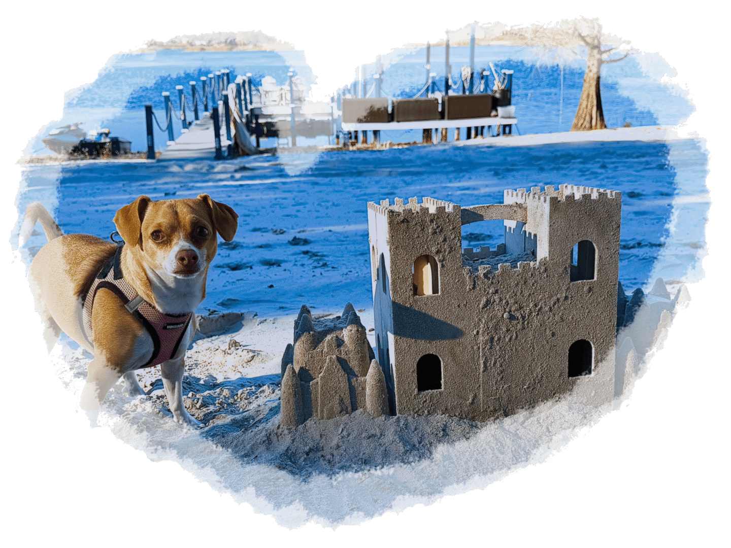 A dog on a beach near an detailed sandcastle with boats in the background.